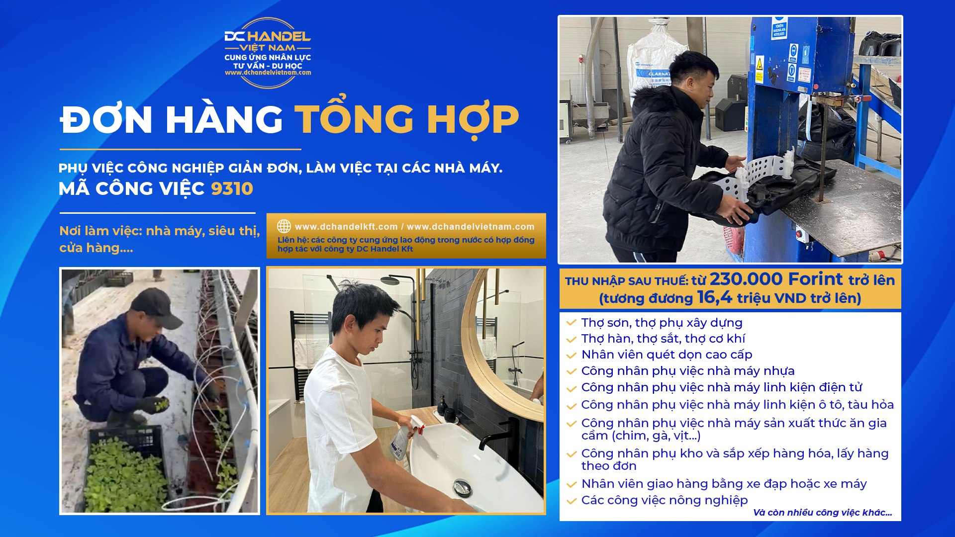 ĐƠN HÀNG TỔNG HỢP