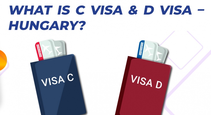 WHAT IS VISA C, VISA D?
